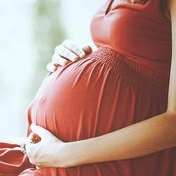 Pregnancy Wellness Plans