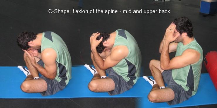 spinal.flexion.sheppy