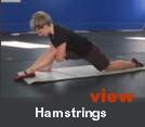 thumbxhamstrings