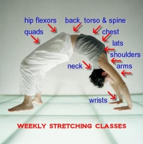 Stretching and Mobility Classes
